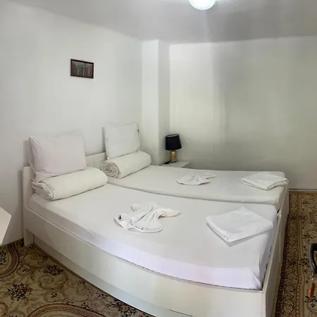 Πανσιόν Podul Cetatii 3*
